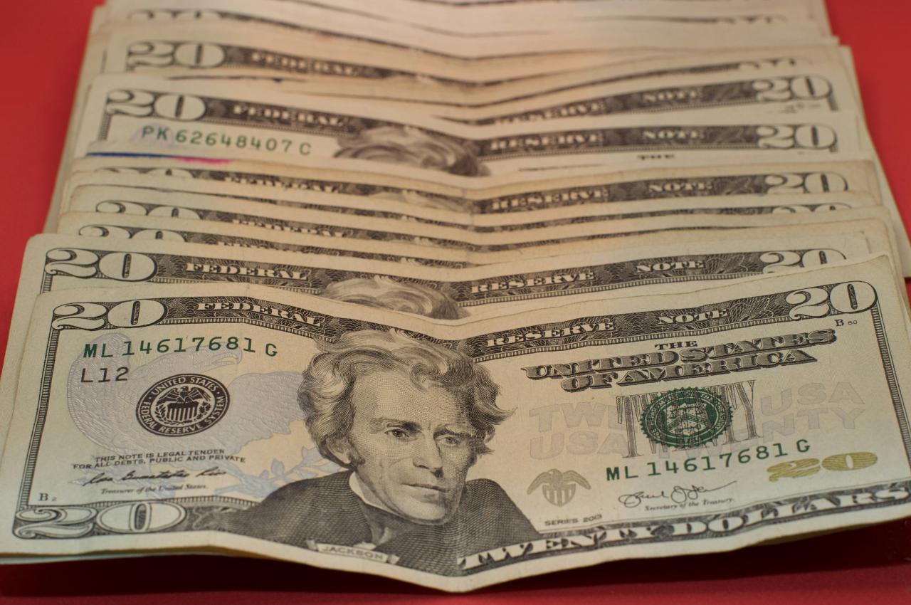 20 us dollar bill